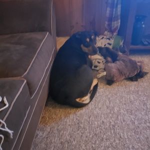 Meet your Posher, Marisa